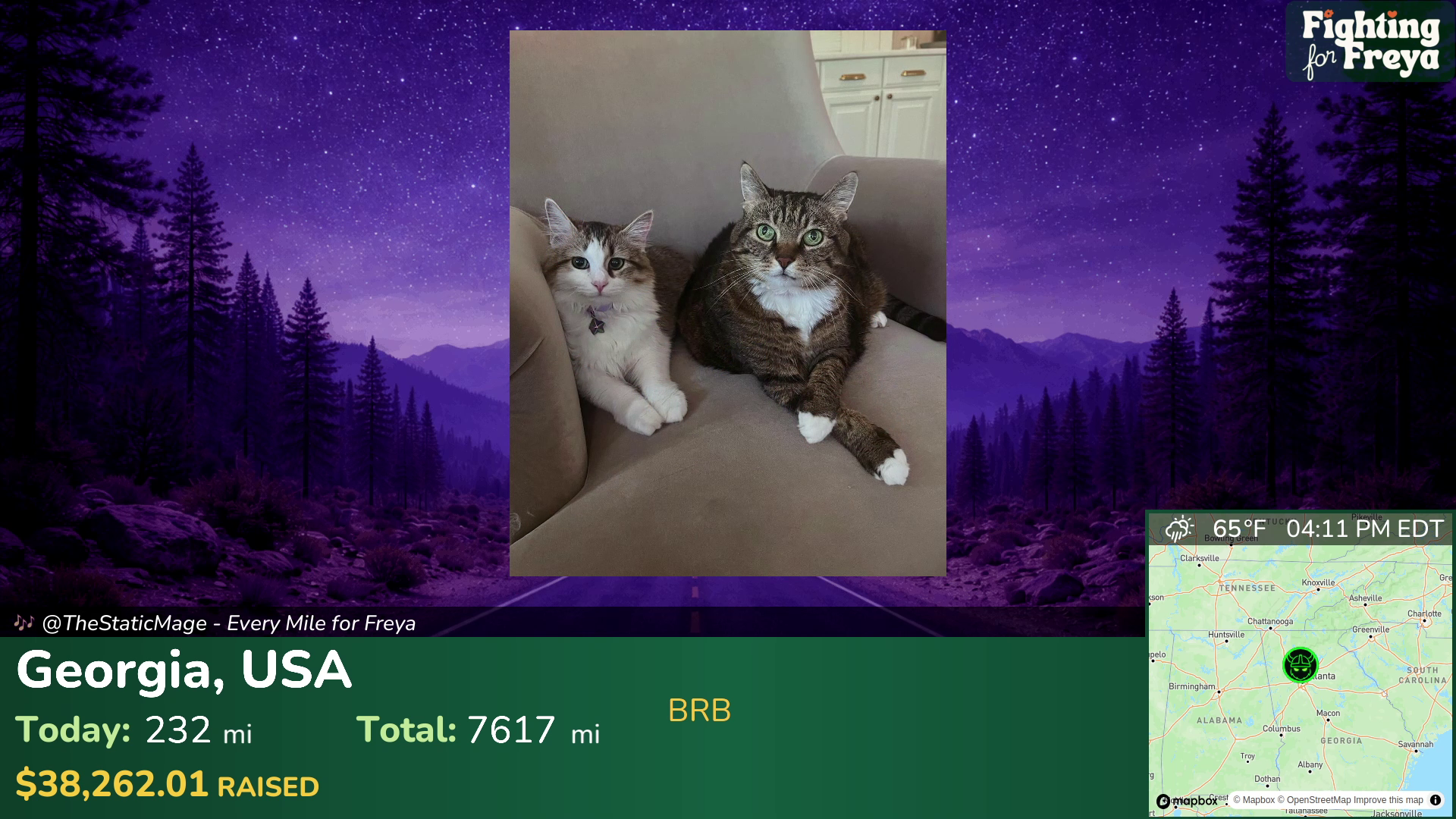 Freya's cats on the AFK scene